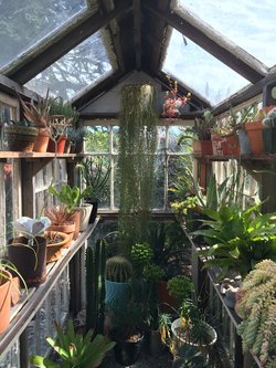 Methane heats up the planet like this glasshouse
